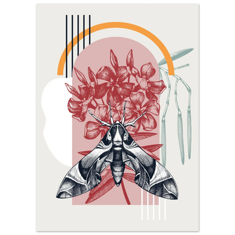 #50 x 70 cm
