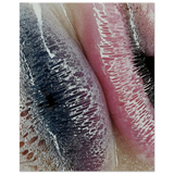 #40 x 50 cm