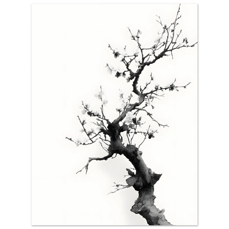 #50 x 70 cm