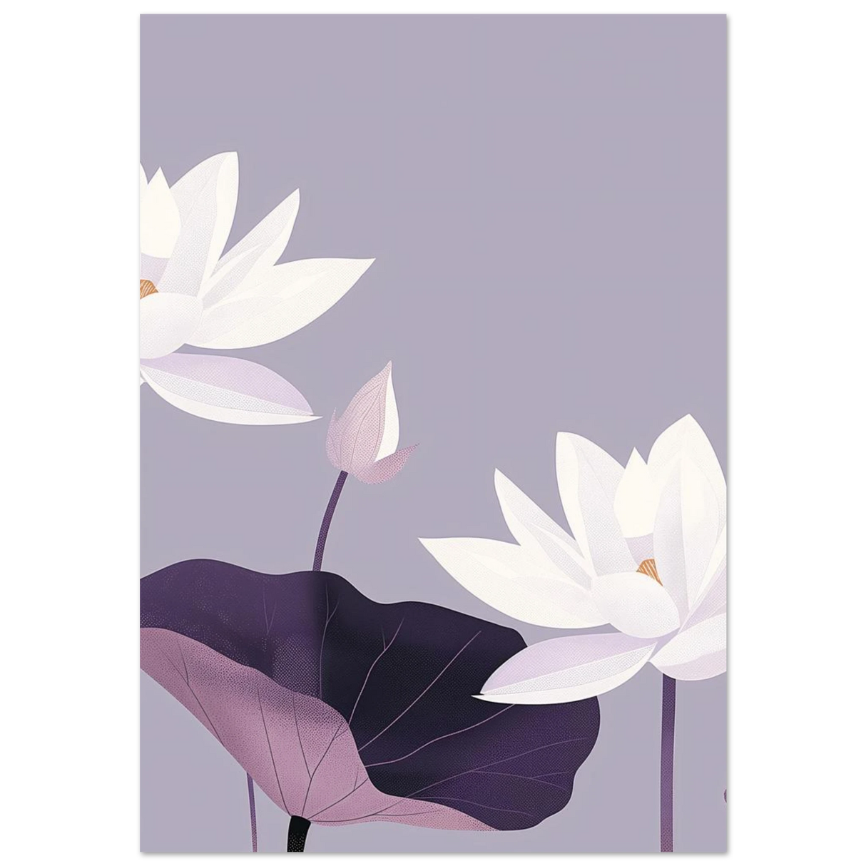 #70 x 100 cm