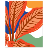#40 x 50 cm