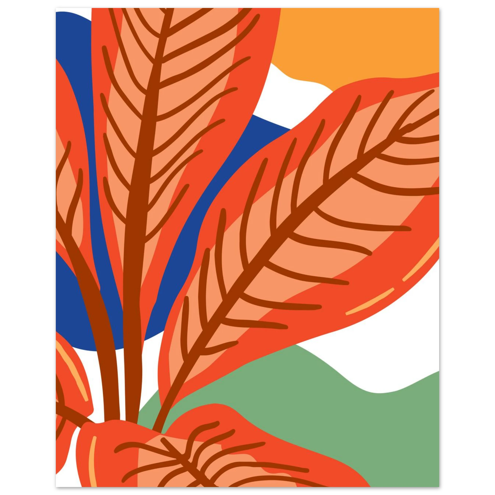 #40 x 50 cm