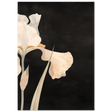#21 x 29.7 cm