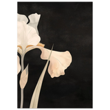 #21 x 29.7 cm