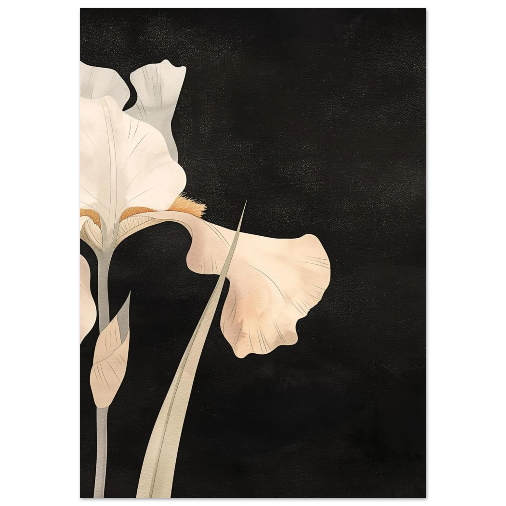 #21 x 29.7 cm