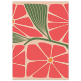 #50 x 70 cm
