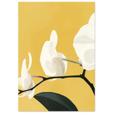 #70 x 100 cm