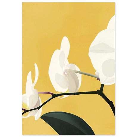 #70 x 100 cm