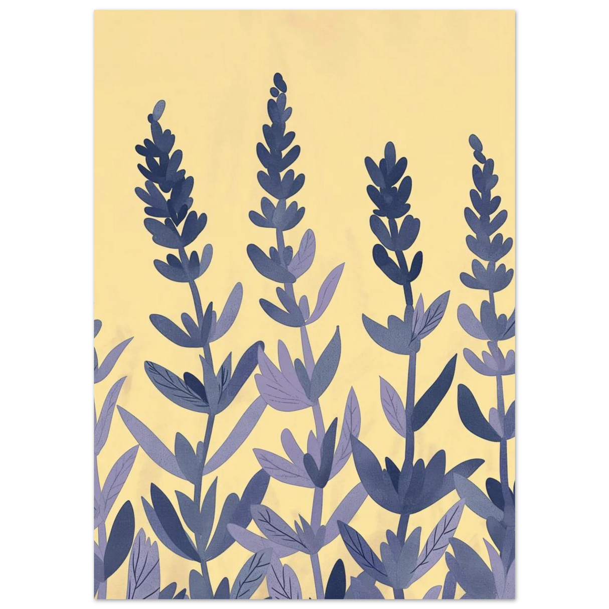 #50 x 70 cm