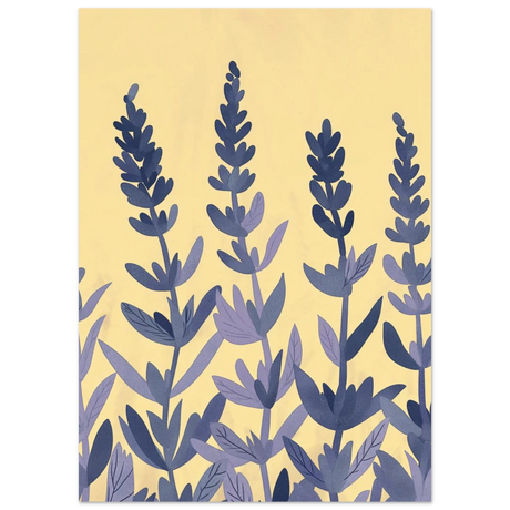 #50 x 70 cm