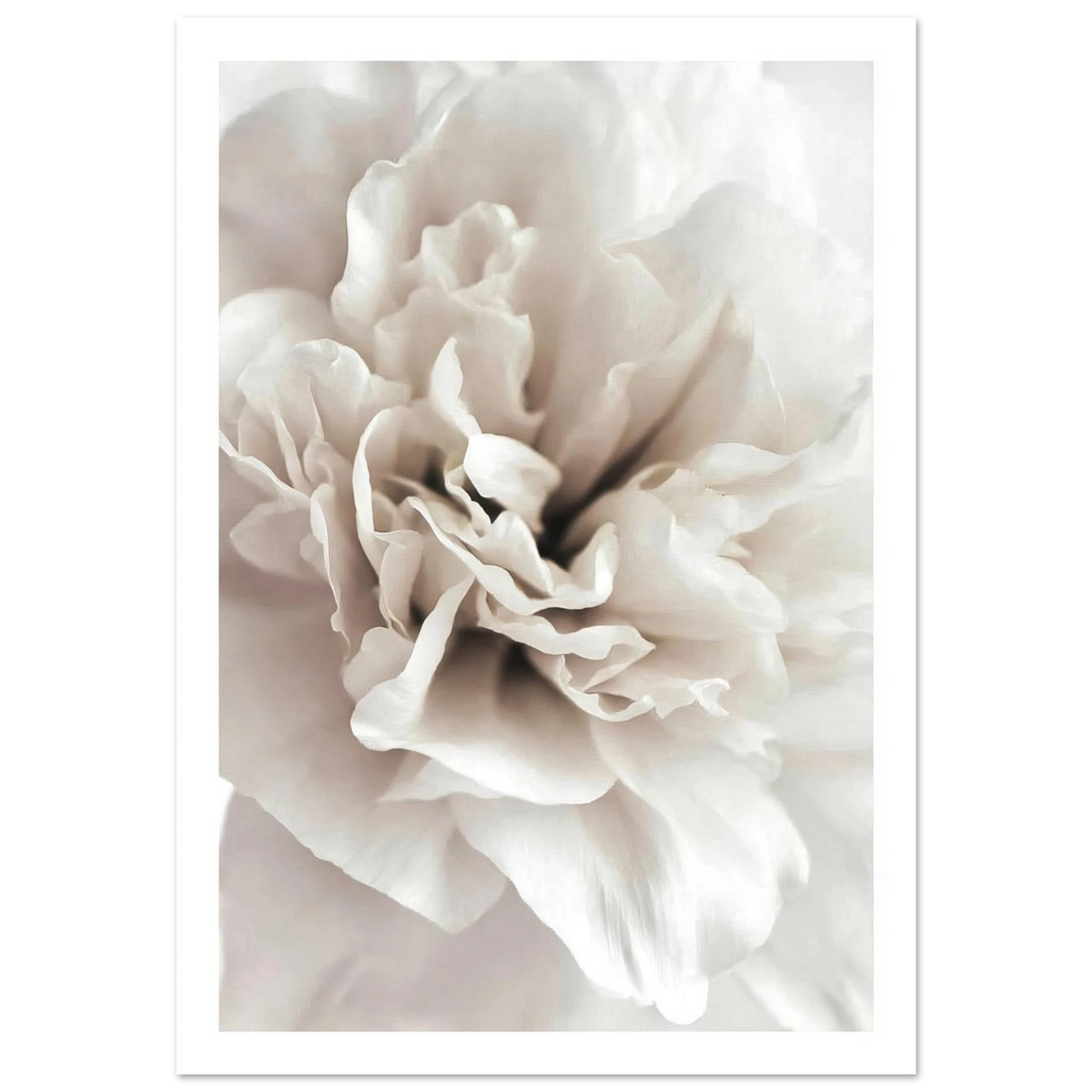 #70 x 100 cm