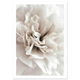 #70 x 100 cm