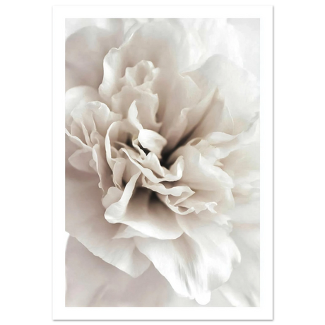 #70 x 100 cm