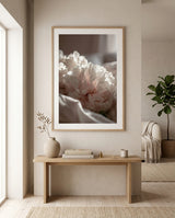 lyserod-paeon-drom-plakat-366