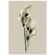 #21 x 29.7 cm