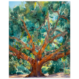 #40 x 50 cm