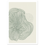 #70 x 100 cm