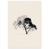 #40 x 50 cm