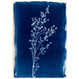 #21 x 29.7 cm