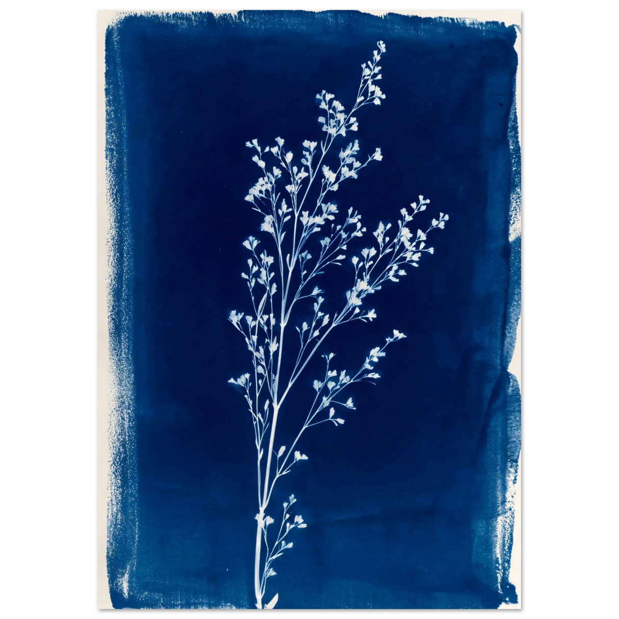 #21 x 29.7 cm