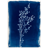 #21 x 29.7 cm