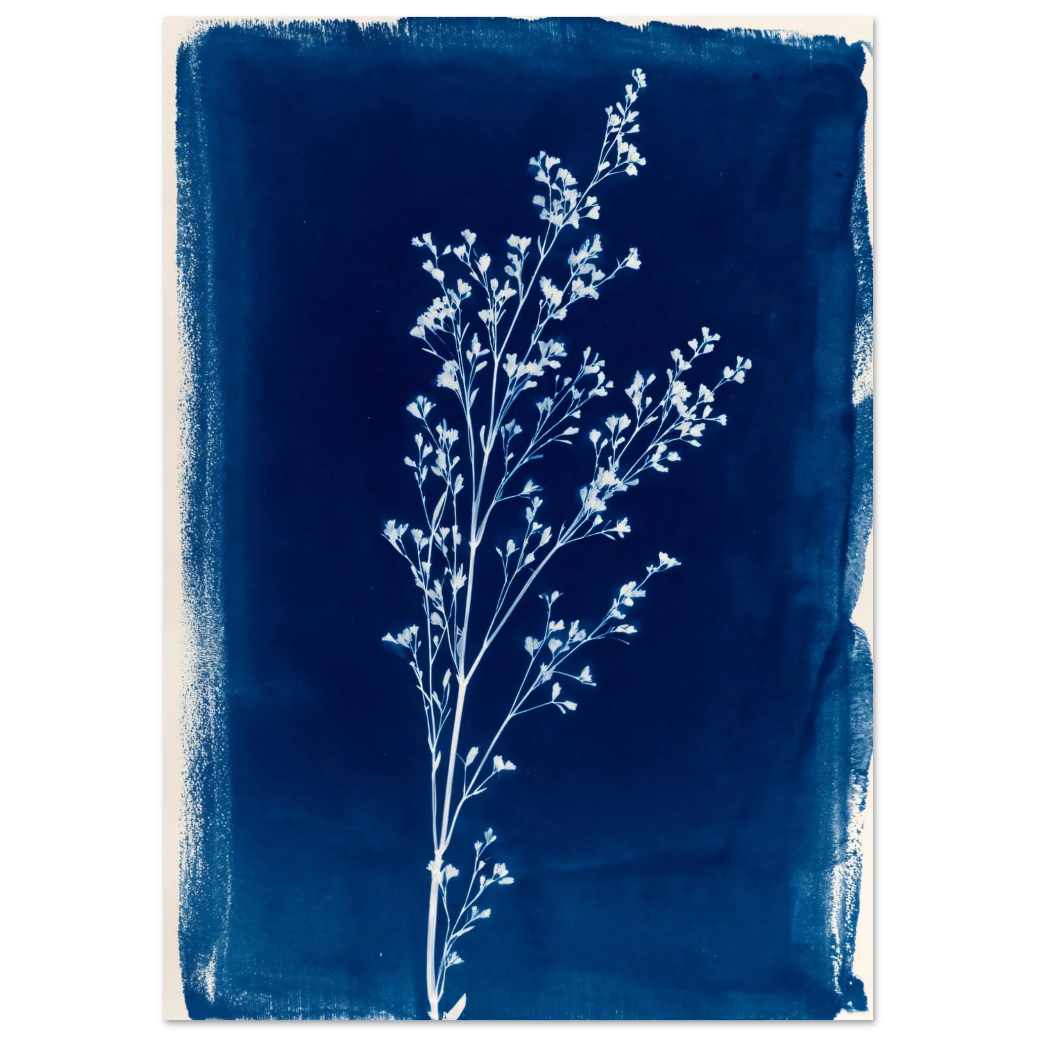 #21 x 29.7 cm