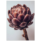 #21 x 29.7 cm