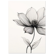 #21 x 29.7 cm