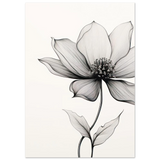 #21 x 29.7 cm