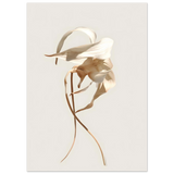 #70 x 100 cm