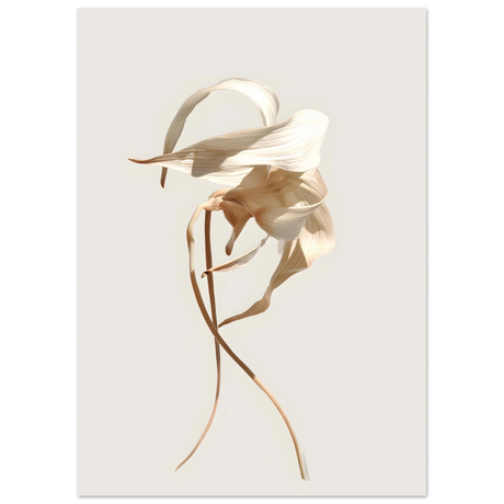 #70 x 100 cm