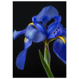 #70 x 100 cm