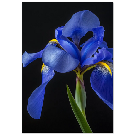 #70 x 100 cm