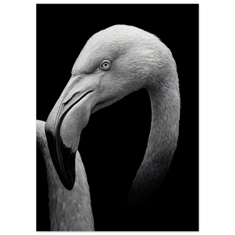 #40 x 50 cm