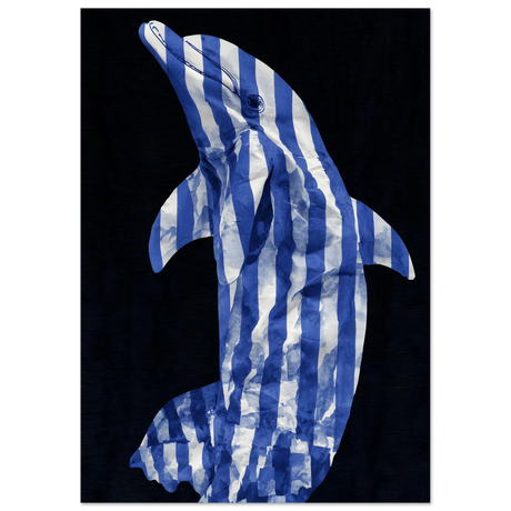#21 x 29.7 cm