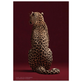 #50 x 70 cm