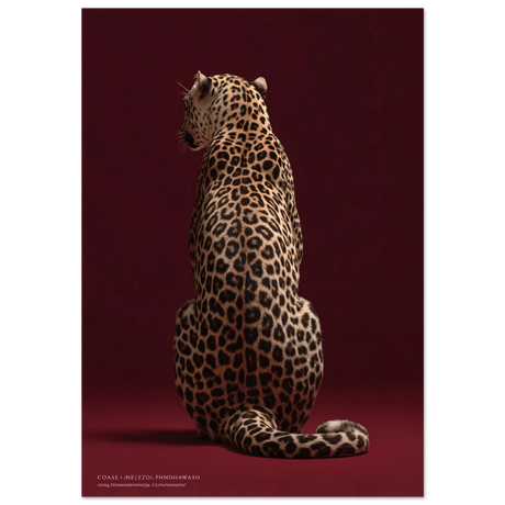 #50 x 70 cm