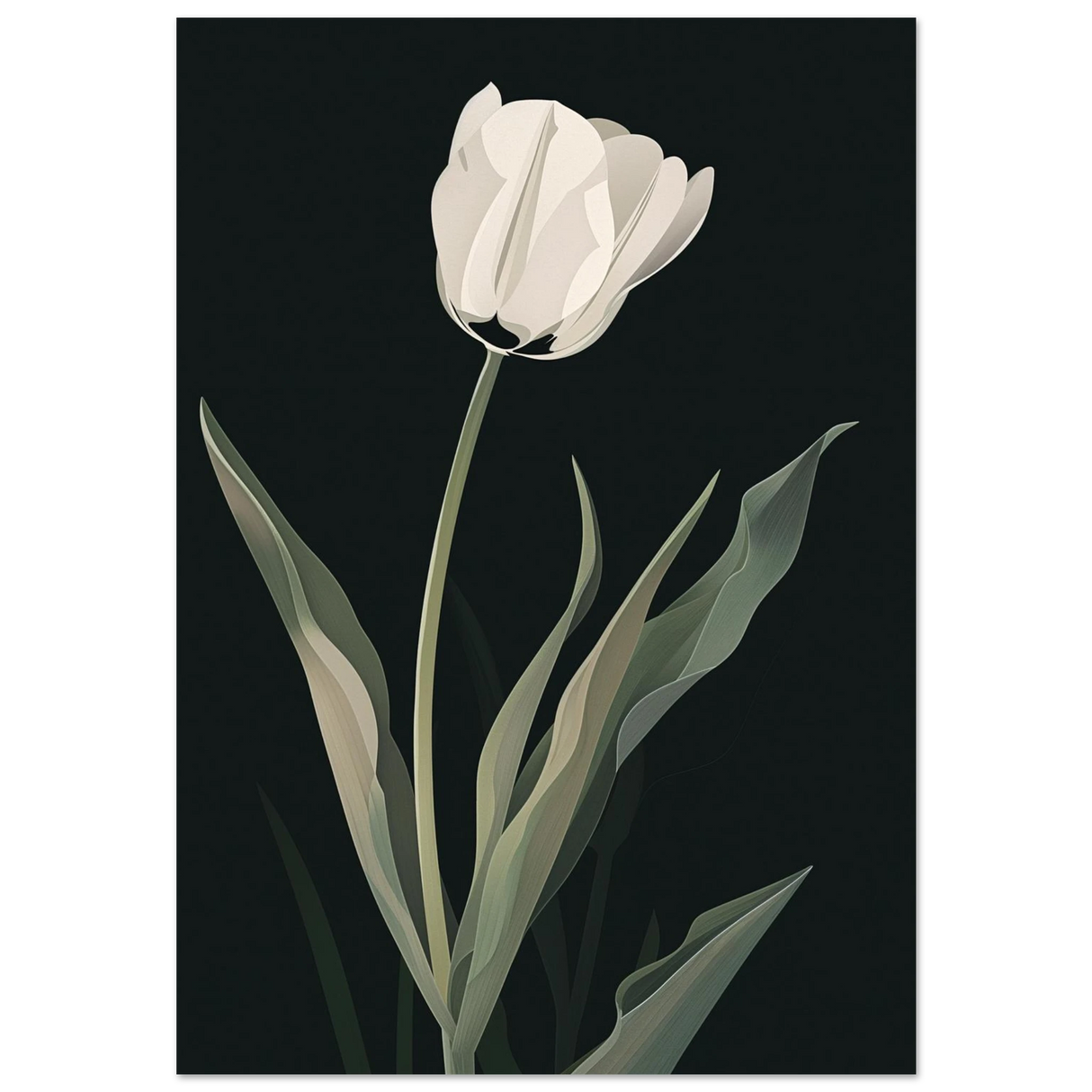 #70 x 100 cm