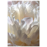 #70 x 100 cm