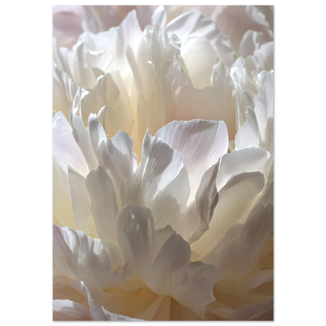 #70 x 100 cm