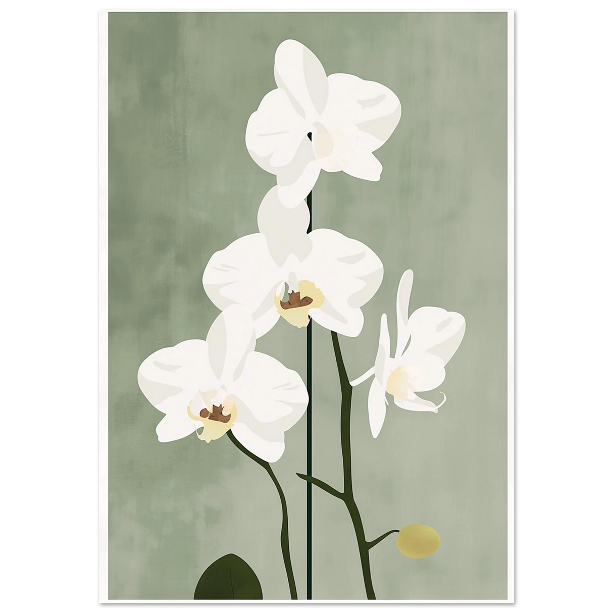 #70 x 100 cm