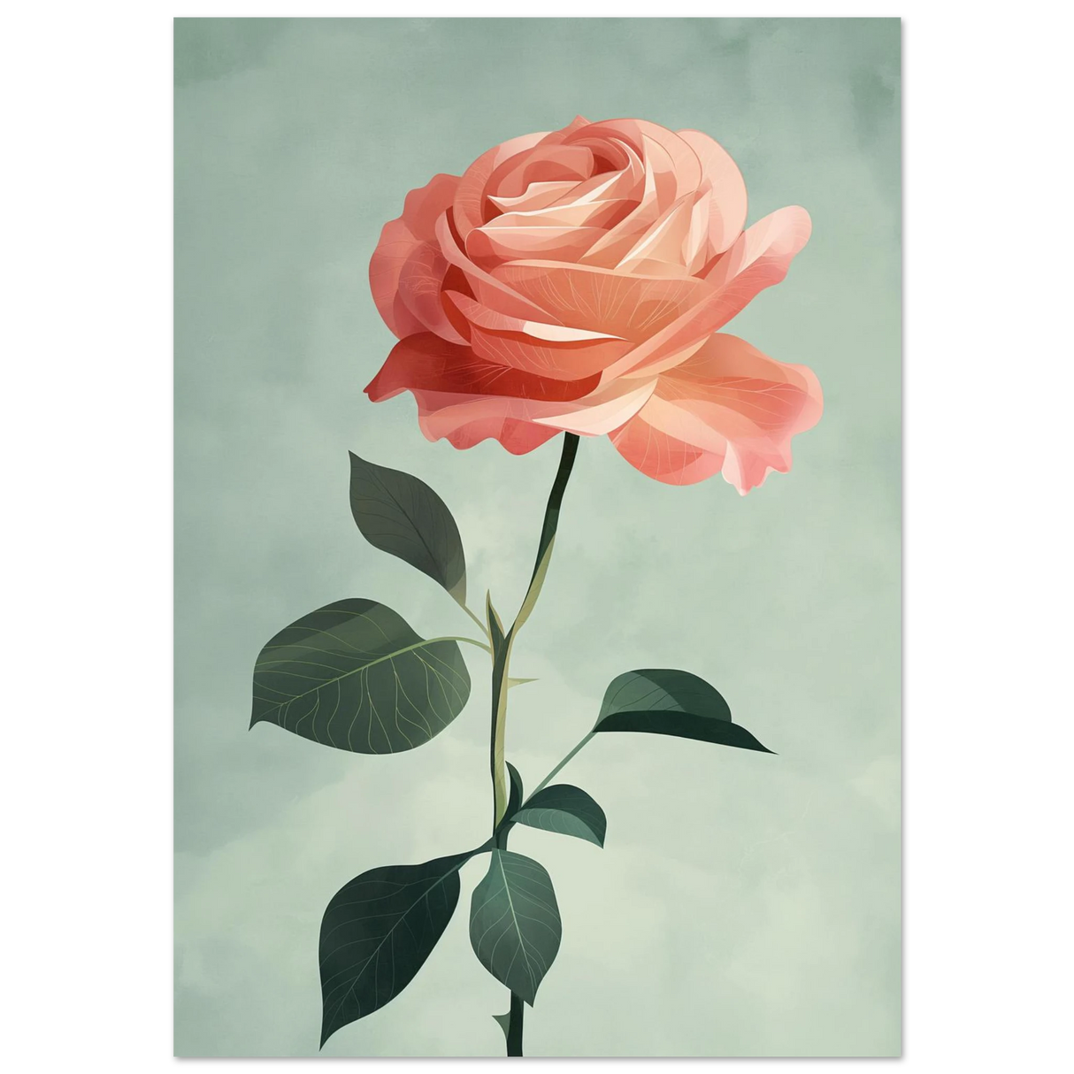 #70 x 100 cm