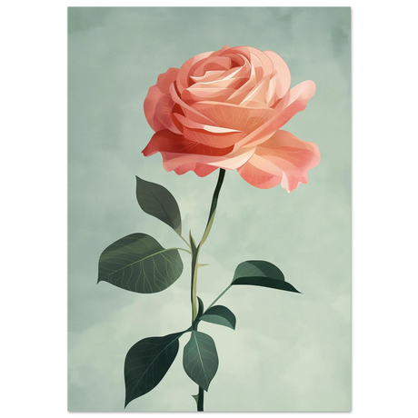 #70 x 100 cm