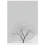 #40 x 50 cm