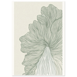 #21 x 29.7 cm