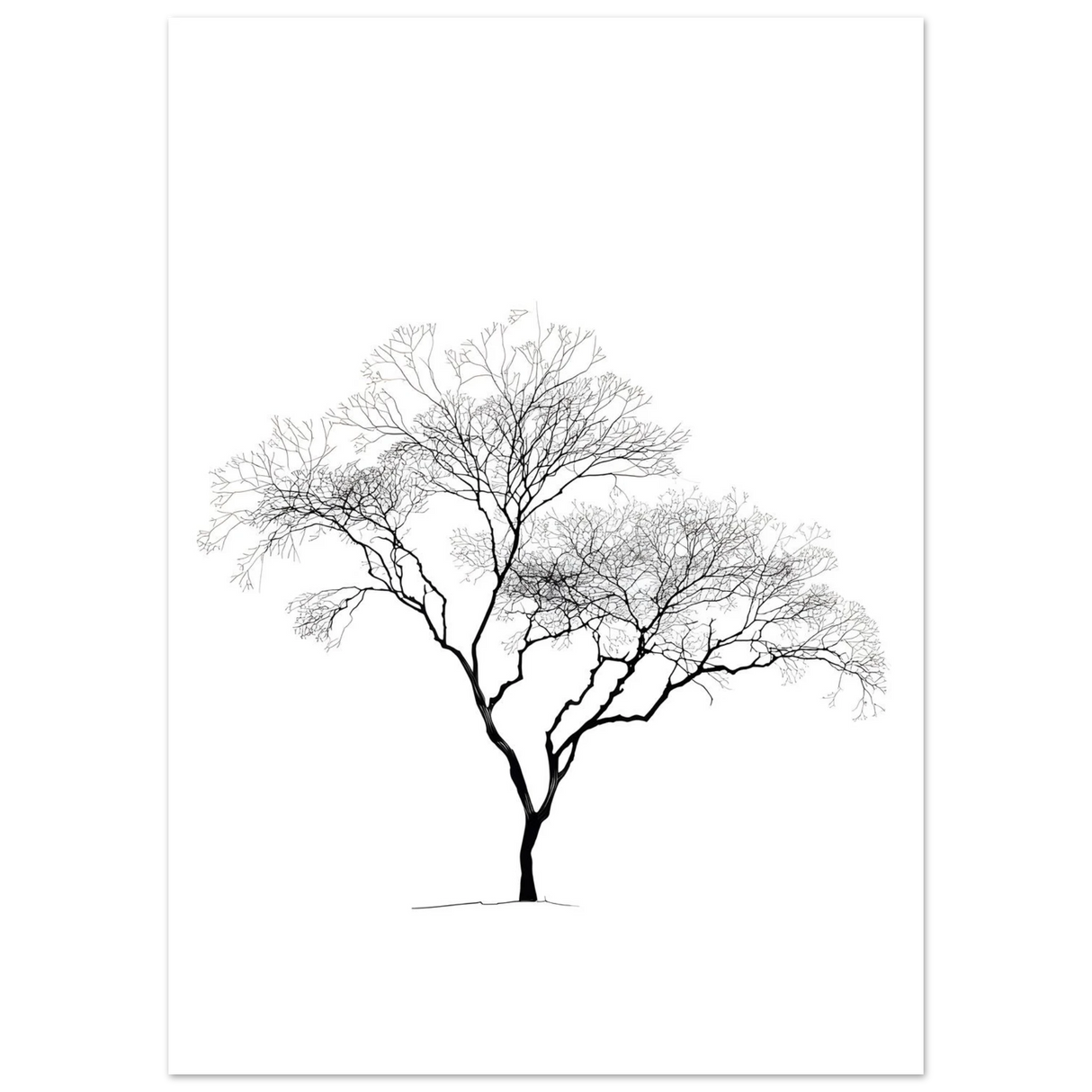 #70 x 100 cm
