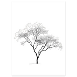 #70 x 100 cm