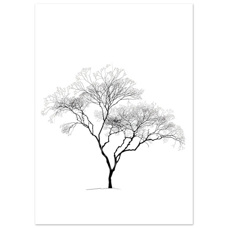 #70 x 100 cm
