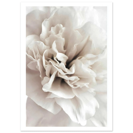#50 x 70 cm