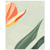 #40 x 50 cm